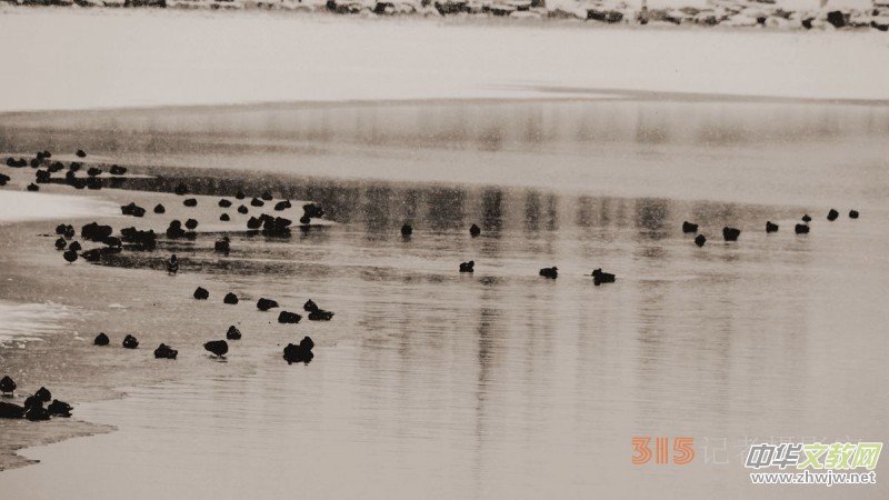 Ц���zӰ����ѩҰ���D