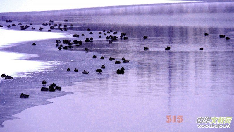 Ц���zӰ����ѩҰ���D