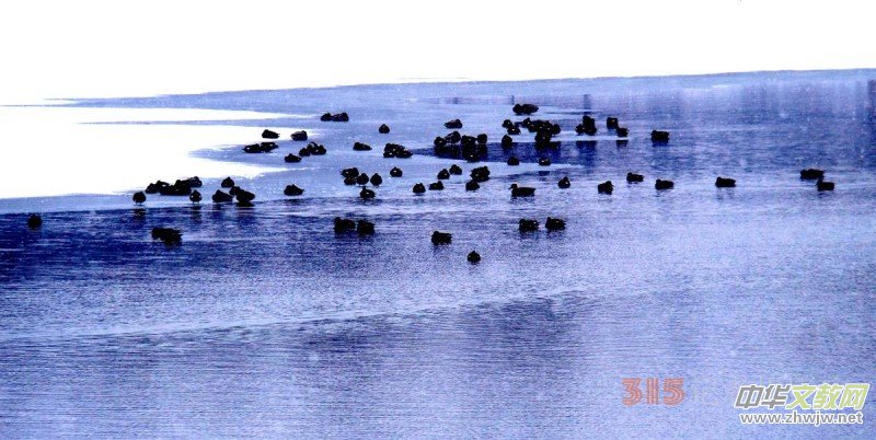 Ц���zӰ����ѩҰ���D