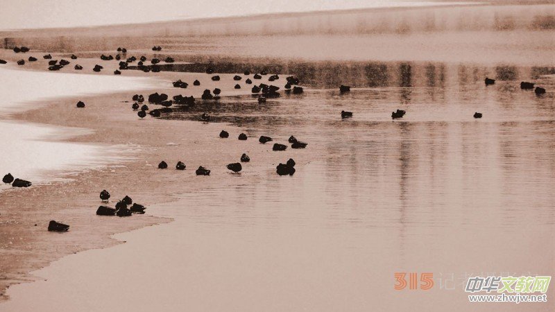 Ц���zӰ����ѩҰ���D