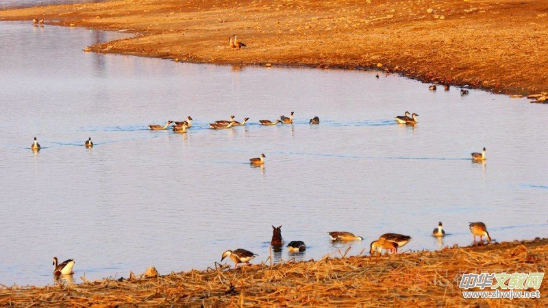 ���㡪���������ڱ����Ϻ��ӽ�Ұ���@