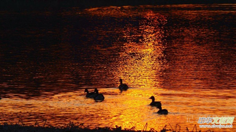 ���㡪���������ڱ����Ϻ��ӽ�Ұ���@