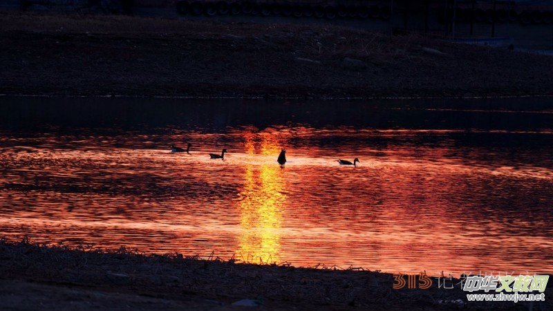 ���㡪���������ڱ����Ϻ��ӽ�Ұ���@