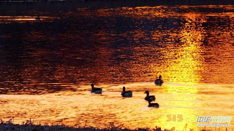 ���㡪���������ڱ����Ϻ��ӽ�Ұ���@