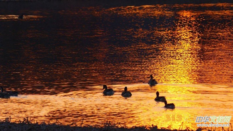 ���㡪���������ڱ����Ϻ��ӽ�Ұ���@