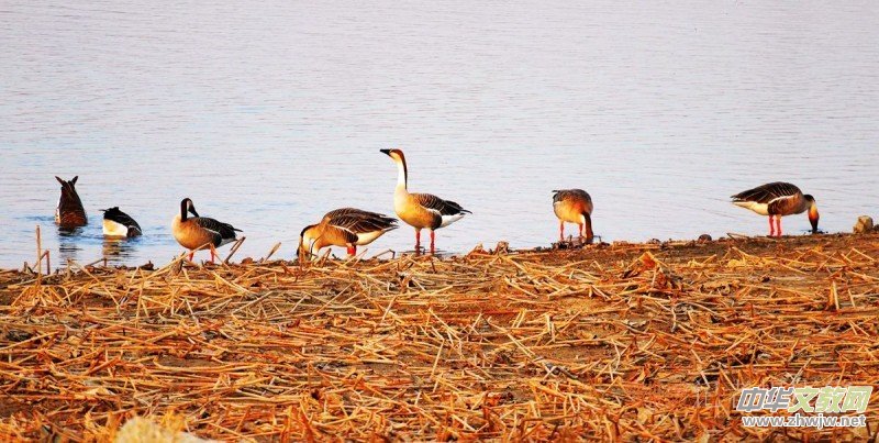 ���㡪���������ڱ����Ϻ��ӽ�Ұ���@