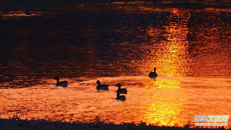 ���㡪���������ڱ����Ϻ��ӽ�Ұ���@