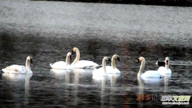 ���㡪���������ڱ����Ϻ��ӽ�Ұ���@