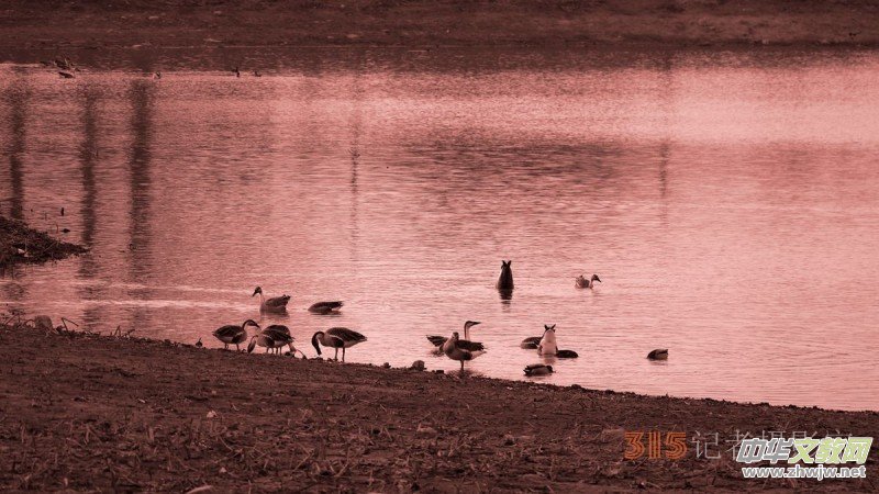 ���㡪���������ڱ����Ϻ��ӽ�Ұ���@