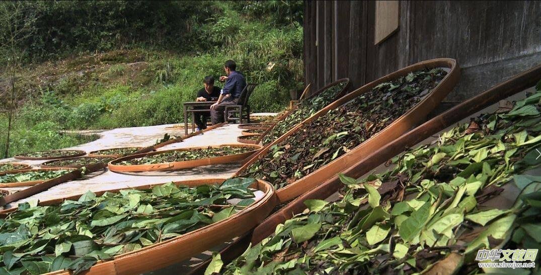 �A������I(y��)��(chu��ng)ʼ�ˡ����Ї���V���B��