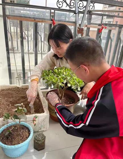 ����ʡ��ɽ�Ќ���ЌW�_չ���Ҟ���l(xi��ng)���Gɫ���H��ֲ��h(hu��n)��־Ը�߻��