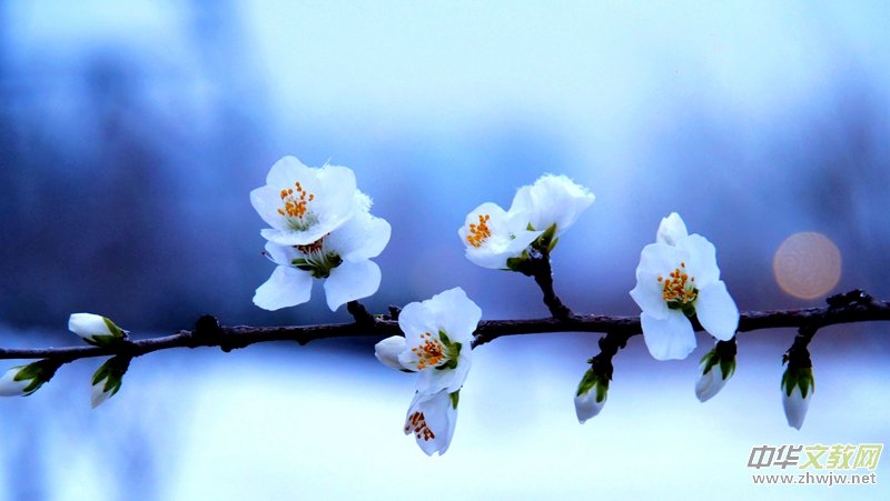 Ц��Ԋ(sh��)�裺2022��Ĵ�