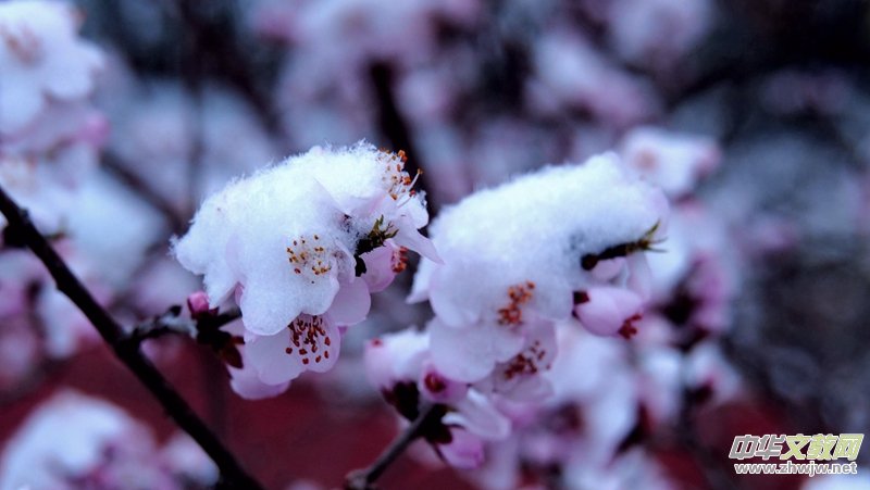 Ц��Ԋ(sh��)�裺2022��Ĵ�