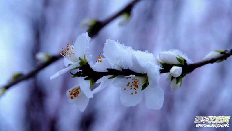 Ц��Ԋ(sh��)�裺2022��Ĵ�