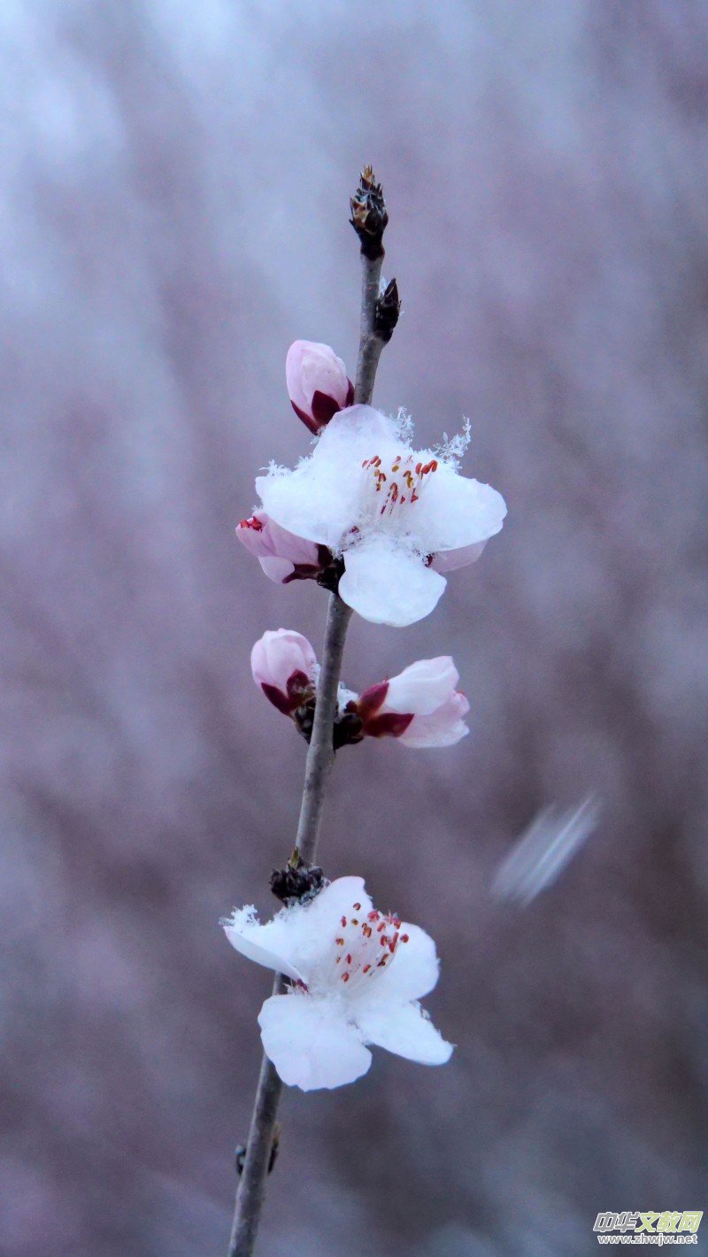 Ц��Ԋ(sh��)�裺2022��Ĵ�