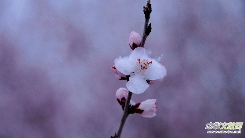 Ц��Ԋ(sh��)�裺2022��Ĵ�