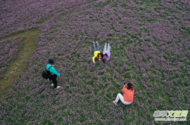 �����V�ţ�ε����^�����ƻ�