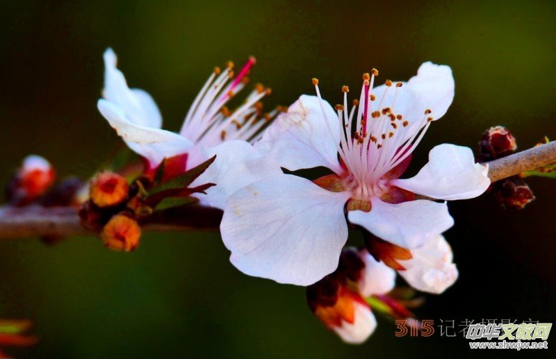 �����N����Ц���z