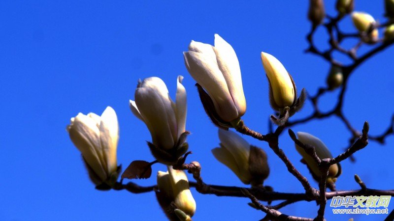 �����N����Ц���z