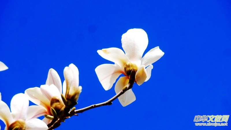 �����N����Ц���z