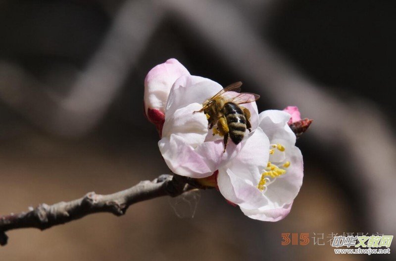 �����N����Ц���z