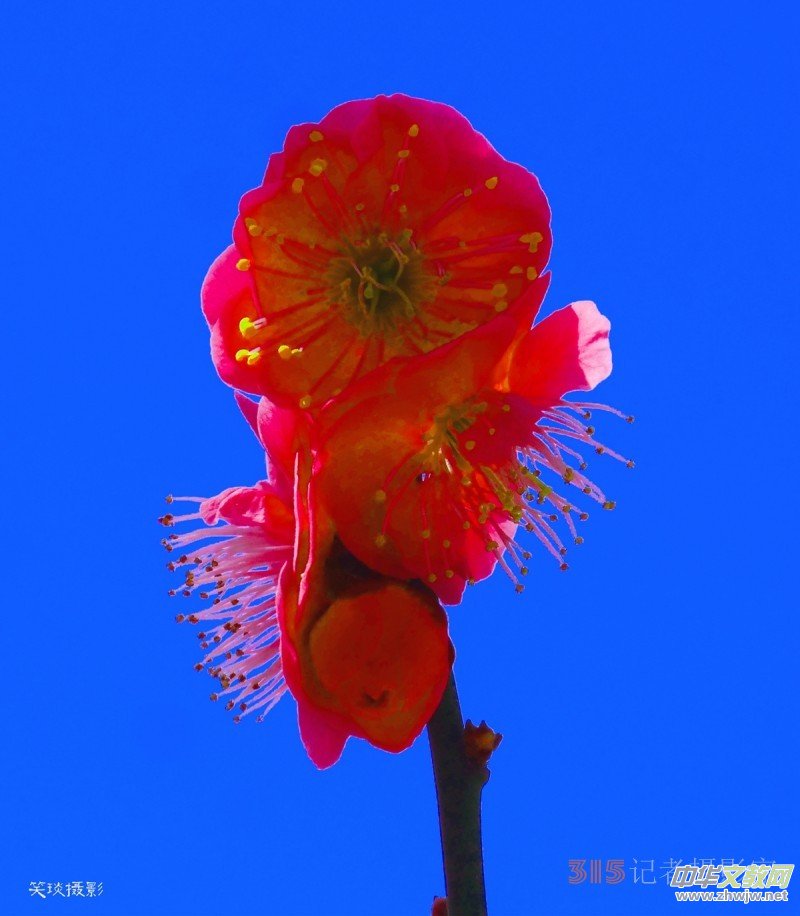 �����N����Ц���z