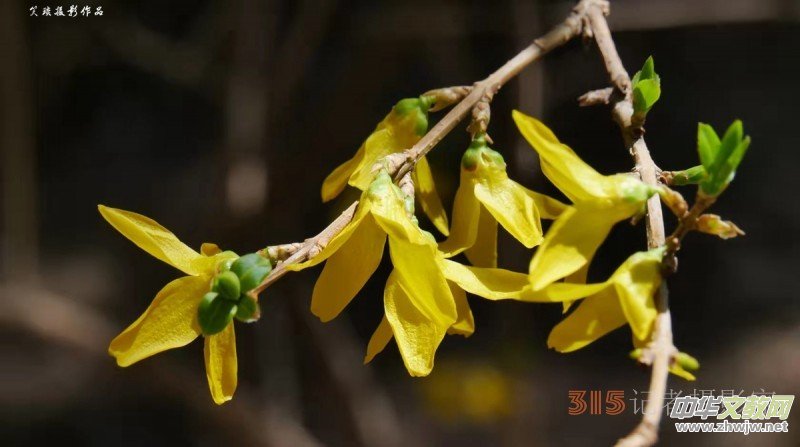 �����N����Ц���z