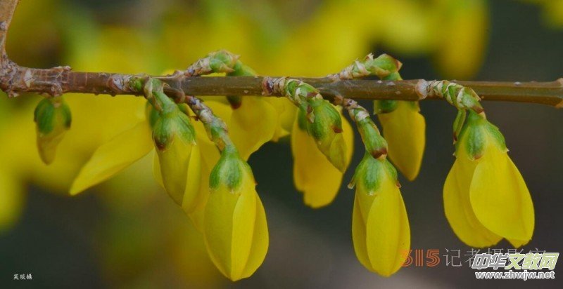 �����N����Ц���z