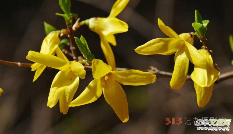 �����N����Ц���z