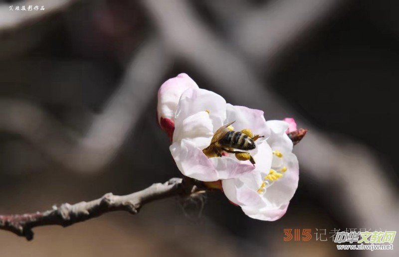 �����N����Ц���z