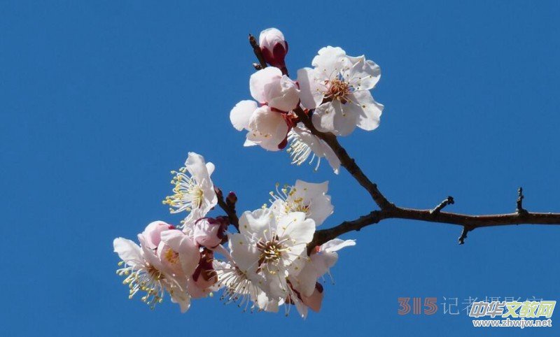 �����N����Ц���z