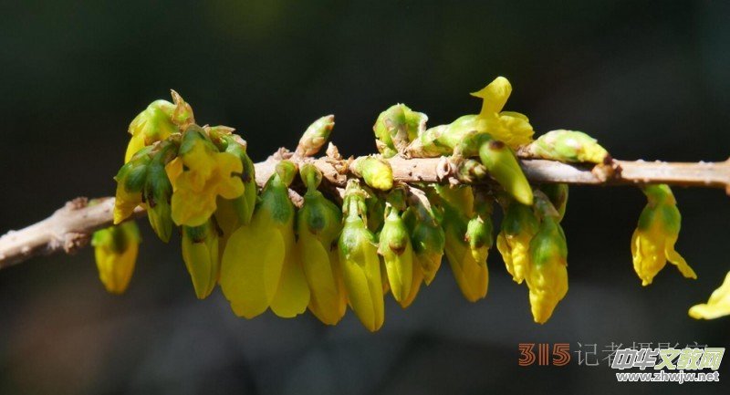 �����N����Ц���z