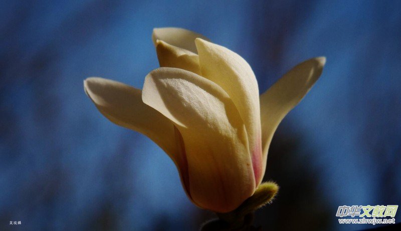 �����N����Ц���z