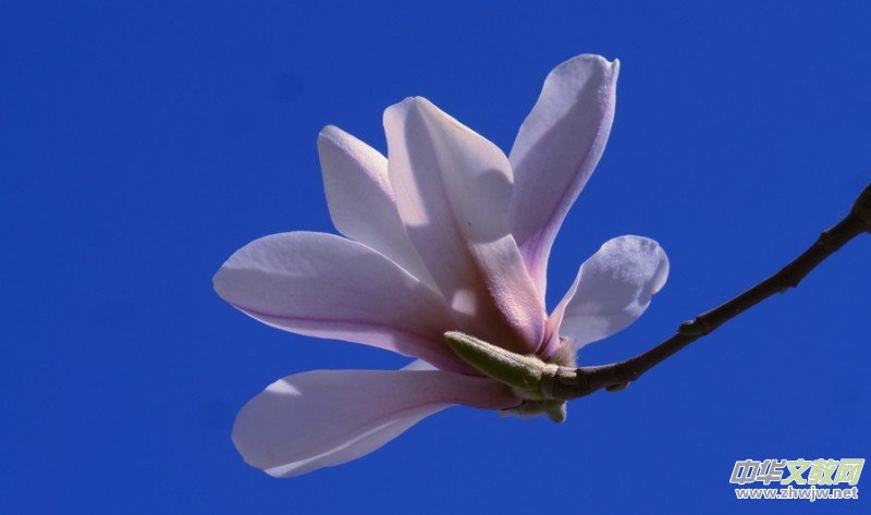 �����N����Ц���z