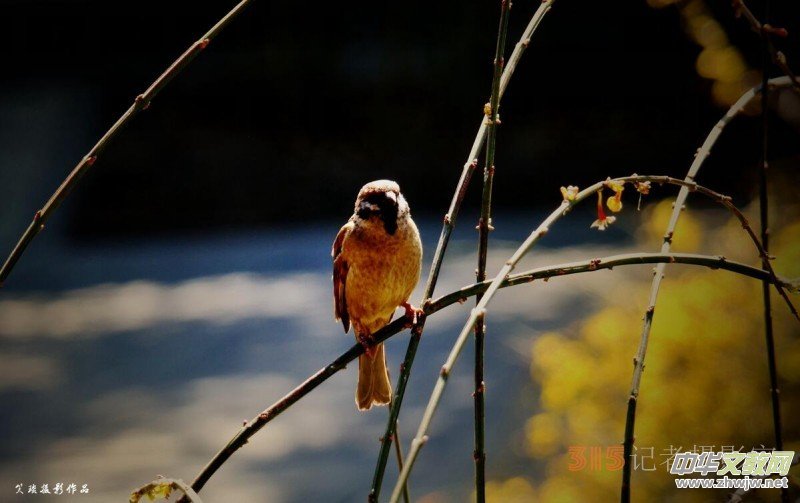 �����N����Ц���z