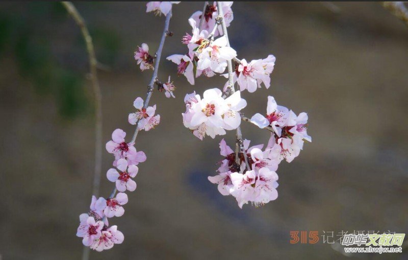 �����N����Ц���z