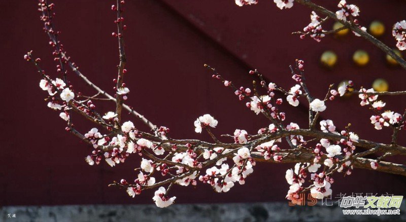 �����N����Ц���z