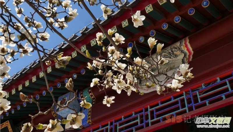 �����N����Ц���z