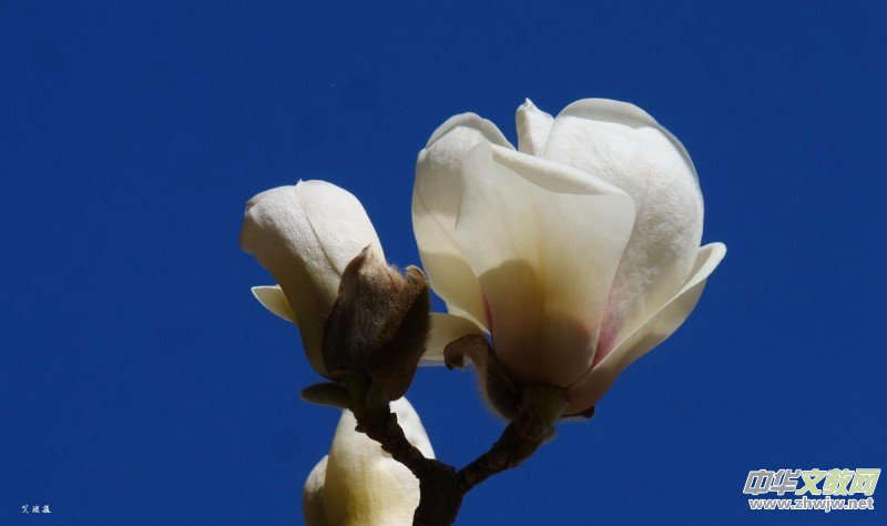 �����N����Ц���z