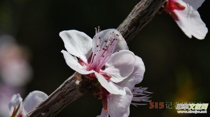 �����N����Ц���z