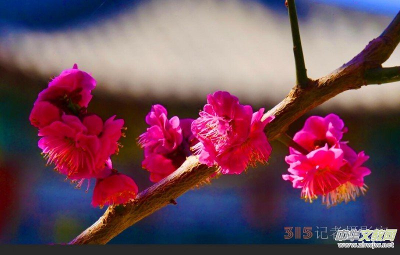 �����N����Ц���z