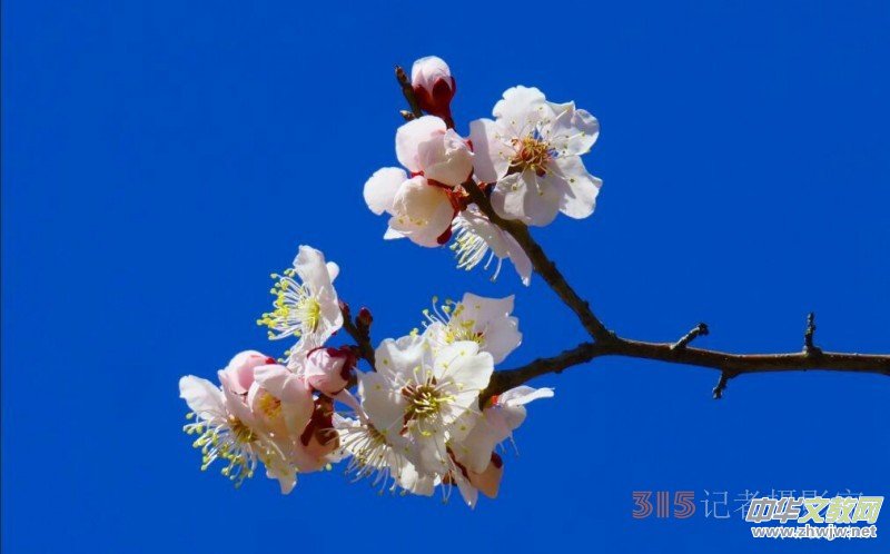 �����N����Ц���z