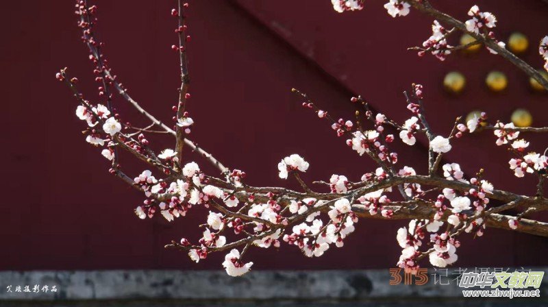 ���¶UԊ�x��