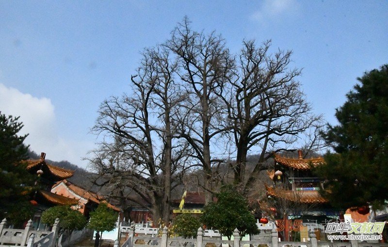 ���¶UԊ�x��