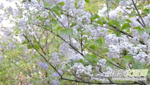 ���¶UԊ�x��