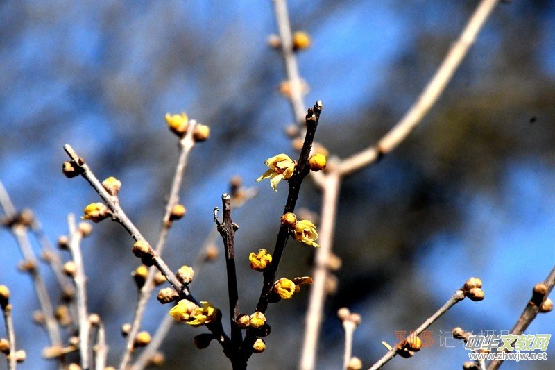 ���¶UԊ�x��