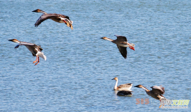 Ц���zӰ���Ϻ��ӹ��@����Ͱ����Z