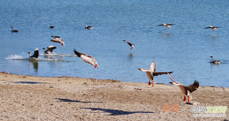 Ц���zӰ���Ϻ��ӹ��@����Ͱ����Z