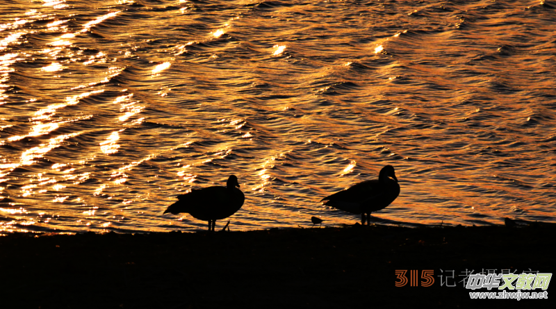 Ц���zӰ���Ϻ��ӹ��@����Ͱ����Z