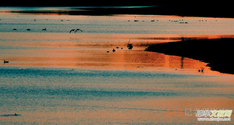 Ц���zӰ���Ϻ��ӹ��@����Ͱ����Z